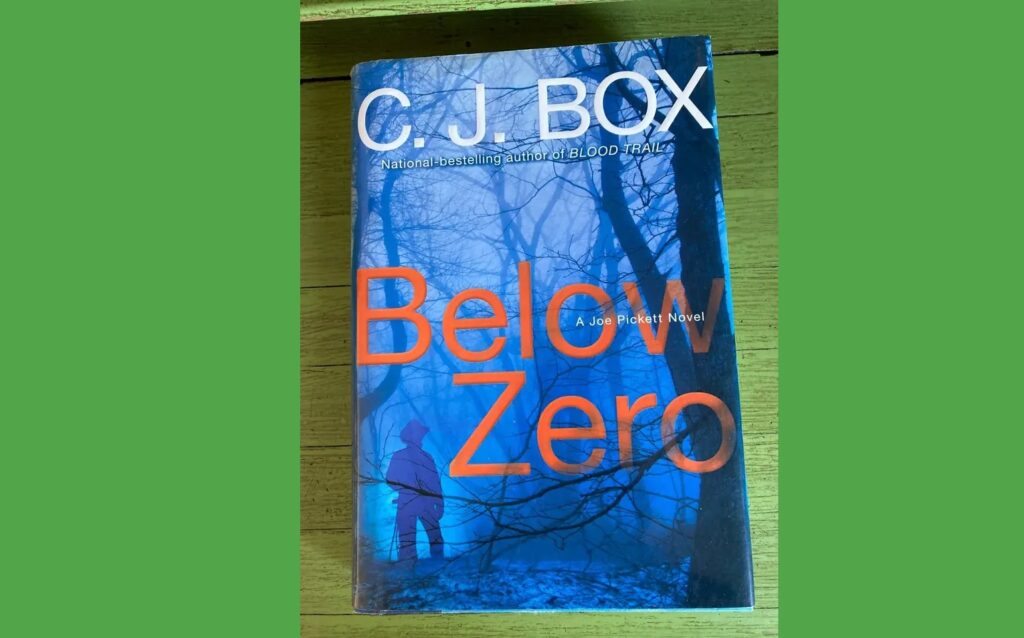 Below Zero (2009)