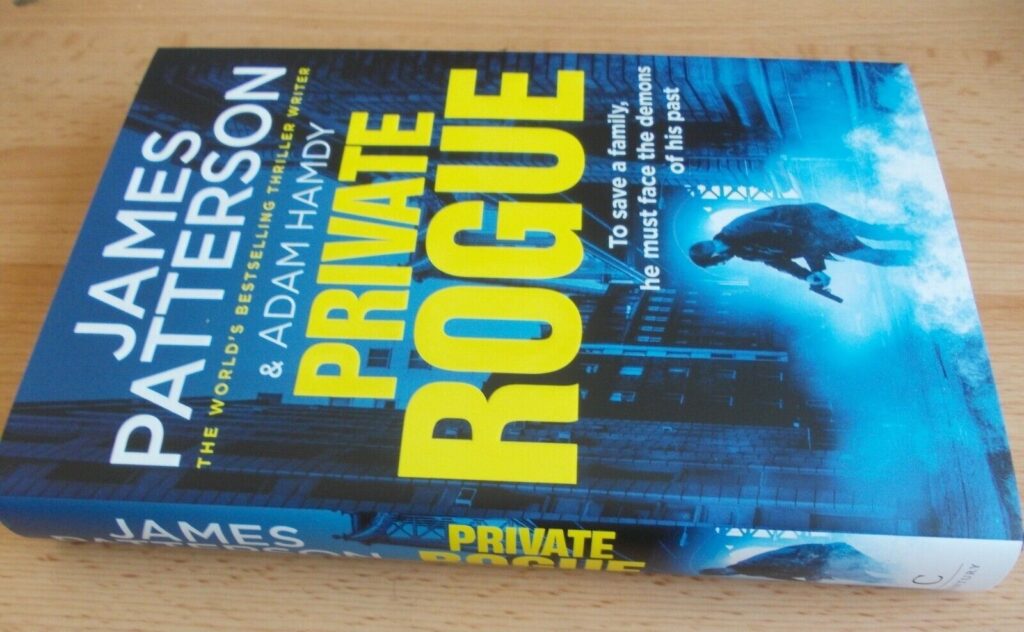 Private Rogue (2021)