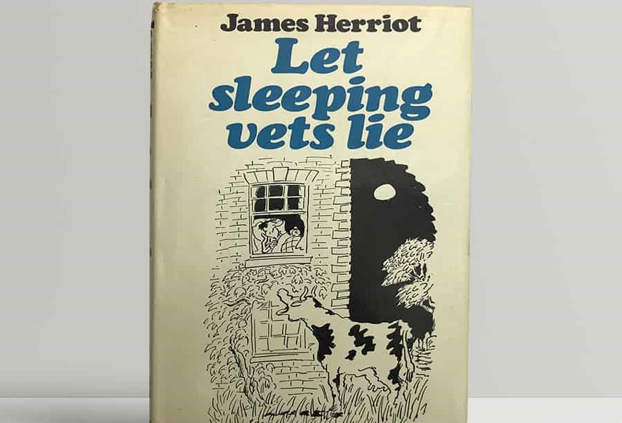 Let Sleeping Vets Lie (1973)