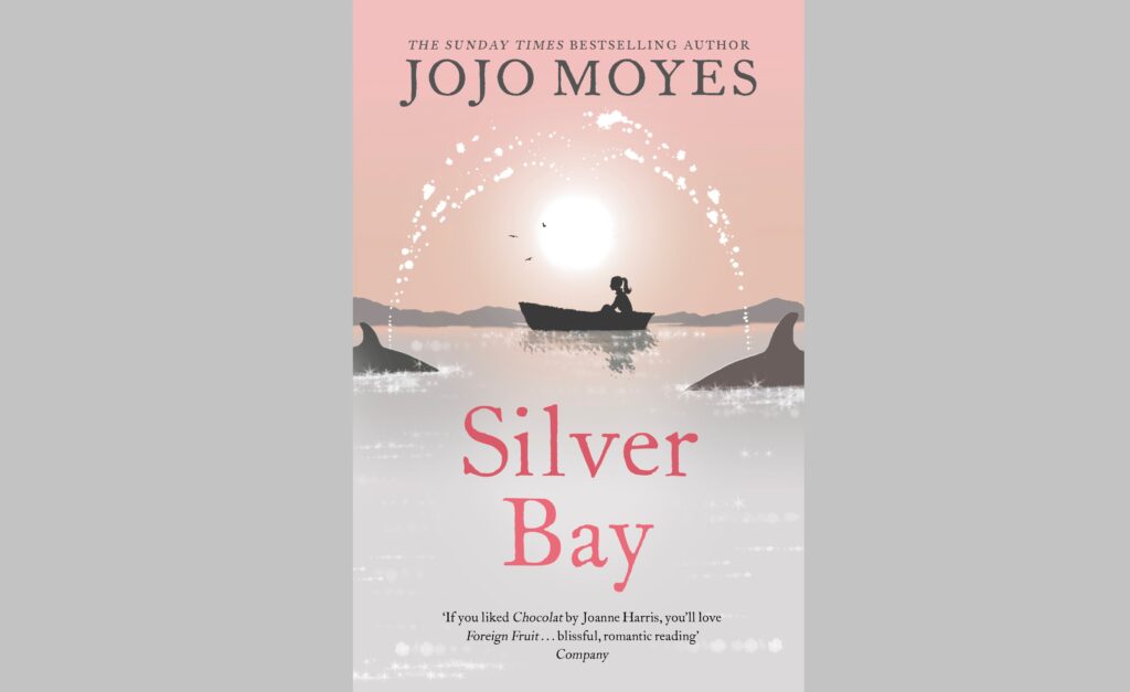 Silver Bay (2007)
